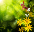 Abstract art summer background. Flower and butterfly