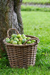 prunes