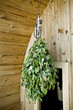 Finland sauna