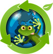 frog