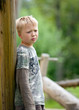 Photo: traurig traurig
