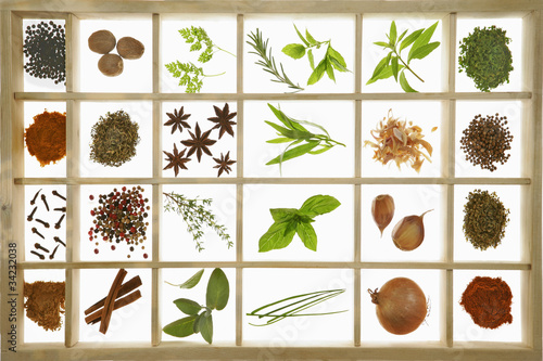 Les herbes et les épices 400_F_34232038_qRJKrpBkcQ77xmWyNCh9QXUdtWrwu01a