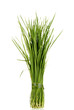 Photo: Chinese Garlic Chives also known as Ku Chai Chinese Garlic Chives also known as Ku Chai