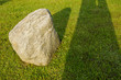 stone on the summer grass