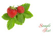 Strawberry on white background