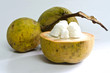 The santol meat