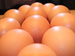 eggs in front of a mirror...