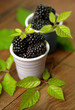 More - Blackberries