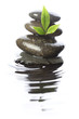 Stones in water