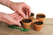 Pair of hands planting seeds