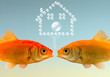 poissons projet immobilier