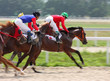 Foto: Horse racing. Horse racing.