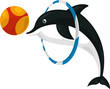 Dolphin