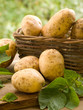 potatoes