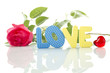 Red Rose and the text of "LOVE"