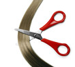 Hair and scissors