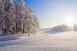 Winter park in snow Winter park in snow