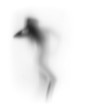 sexy woman body silhouette, white background