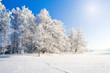 Winter park with snow Winter park with snow
