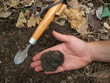 black truffle