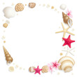 Seashell frame