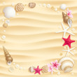 Seashell background