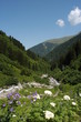 pontisches gebirge  rize-türkei