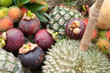 thai fruit