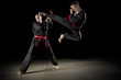 kampfsport03