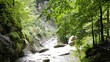 starzlachklamm bayern bergbach