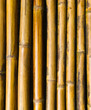 Texture of old bamboo wood