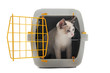 chaton en cage