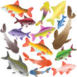 Collection of multi-colored fishes Collection of multi-colored fishes