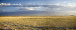 African savannah with Kilimanjaro African savannah with Kilimanjaro