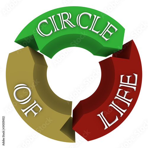 Illustration: Circle of Life Arrows in Circular Cycle Showing Connections Circle of Life Arrows in Circular Cycle Showing Connections