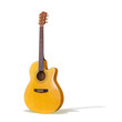 Acoustic Guitar/Isolated