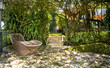 tropical patio