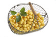 Récolte de mirabelles