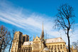 Notre Dame Cathedral in paris