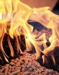 Wood pellets