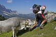 Auf der Flucht