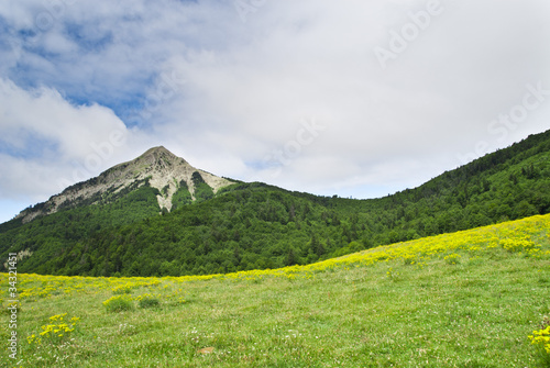 photo par ilopfe