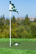 Golf ball on a Putting Green