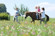 Ferien auf dem Bauernhof