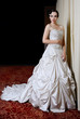 Beautiful girl in wedding dress
