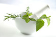 Mortier rempli de plantes médicinales