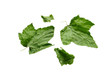 Four currant leaves