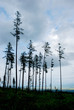 Mountains landscape, High Tatras, Slovakia