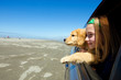 kid and puppy looking out window of a moving car