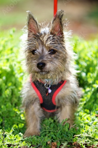Photo: Toto Toto